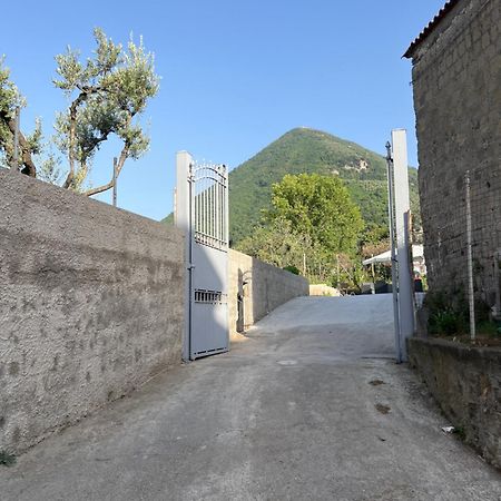 Brass Apartment Castellammare di Stabia Eksteriør billede